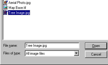 Imágenes en Autocad