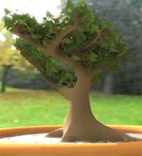 Modelado de un Árbol con 3Ds Max