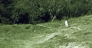 ¿Tú Qué Estás Haciendo?