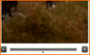 Creating A Custom Video Player In Flash CS3