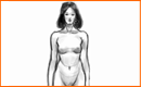 How To Draw The Female Figure In PhotoshopCS3