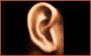How To Draw Ear in Photoshop
