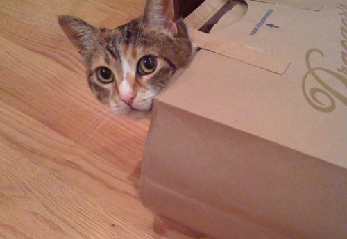 emmy-bag