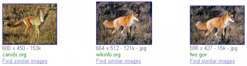Fox imagenes similares
