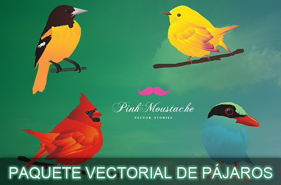 Paquete vectorial gratuito de 4 bellos y coloridos pájaros Paquete vectorial gratuito de 4 bellos y coloridos pájaros
