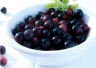 Brazilian acai berry antioxidants absorbed by human body when consumed both as juice and pulp