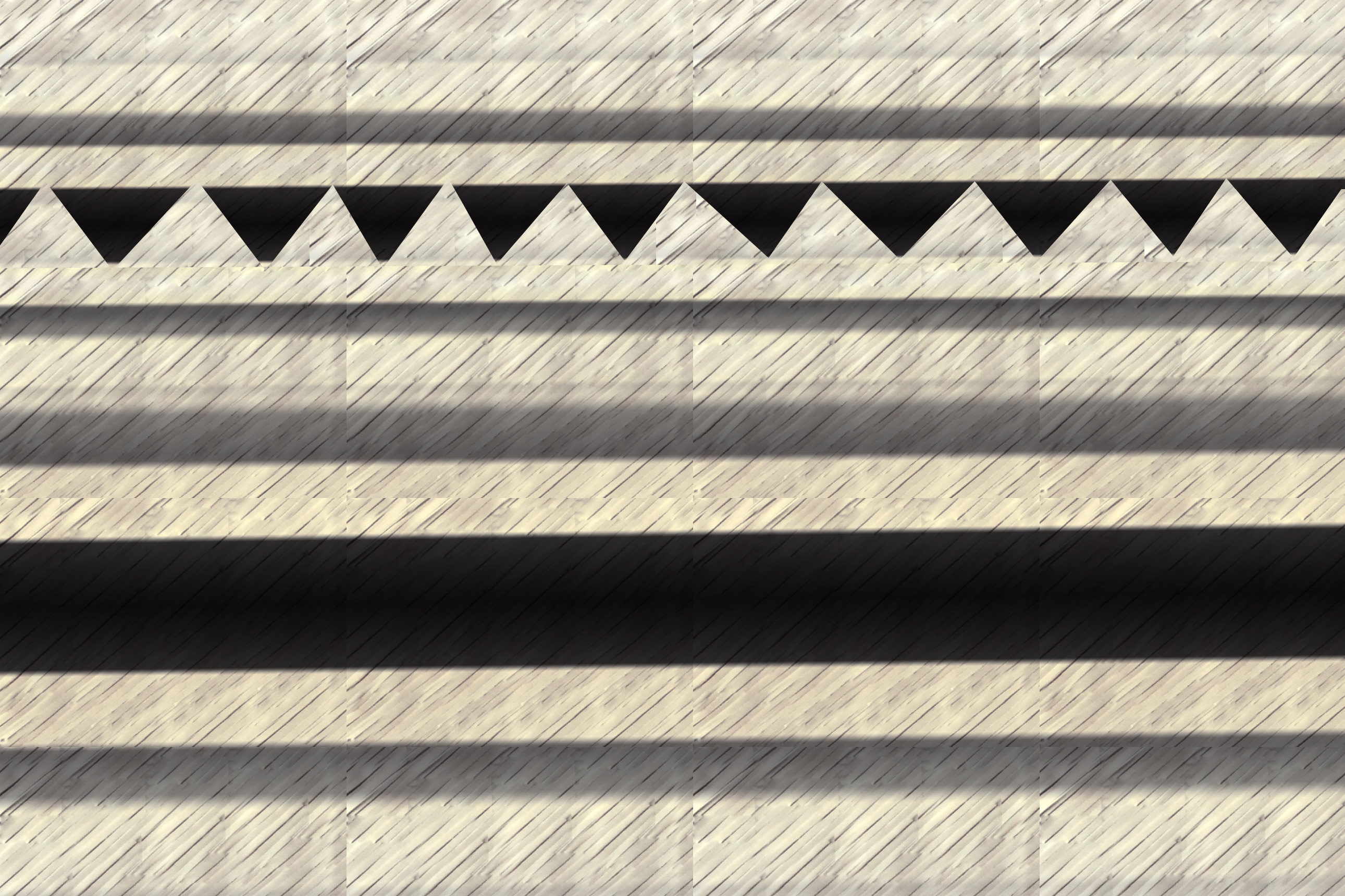 textura palma de iraca