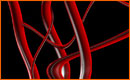 Venas en Photoshop