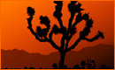 Siluetas Art�sticas con Photoshop