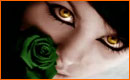 Coloraci�n R�pida con Photoshop