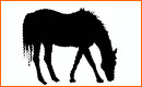 Extraer la Silueta de un Caballo con Photoshop