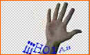 Como Realizar una Animaci�n Gif para msn o pagina web