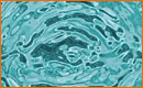 Efecto Agua Papel Tapiz