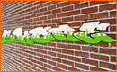 Crea un Graffiti en una Pared
