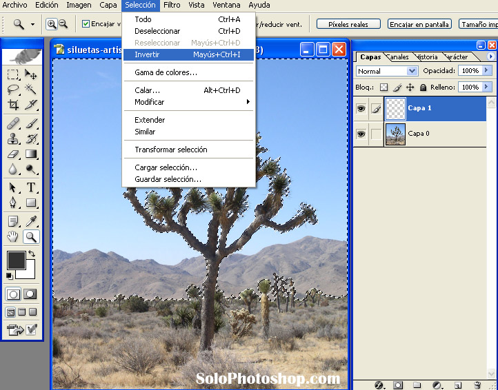 Siluetas Artisticas 06