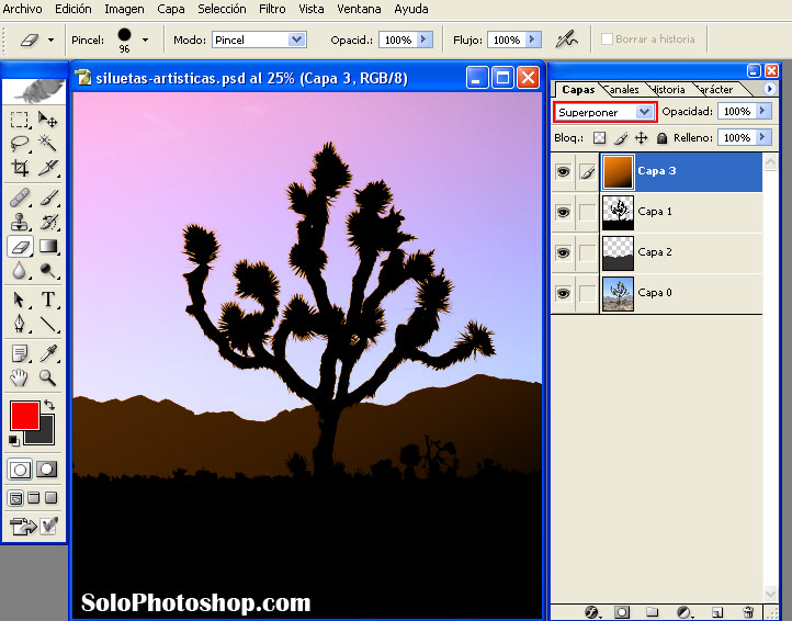Siluetas Artisticas 10