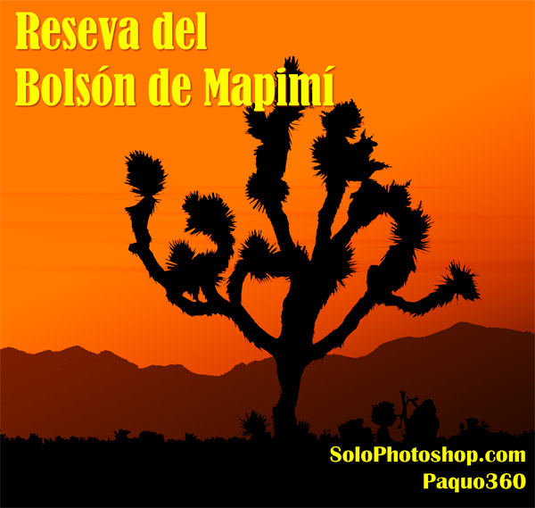 Siluetas Artisticas 12