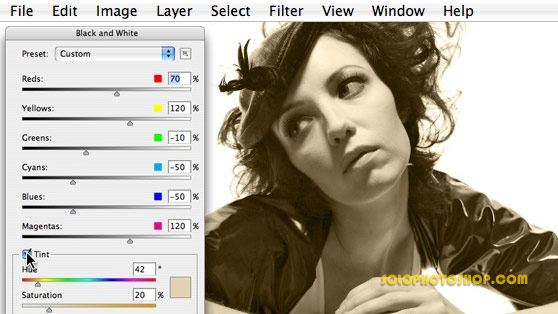 Conversi&oacute;n a blanco y negro