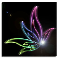 Tutorial Photoshop Flor de Cristal 06