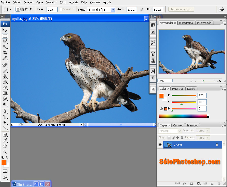 adobe photoshop styles free download cs3