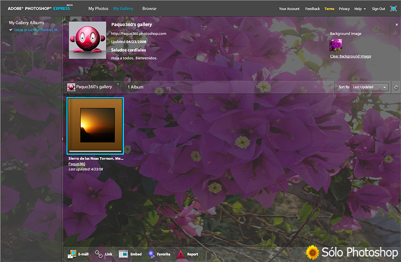 Vista de Mi Galería