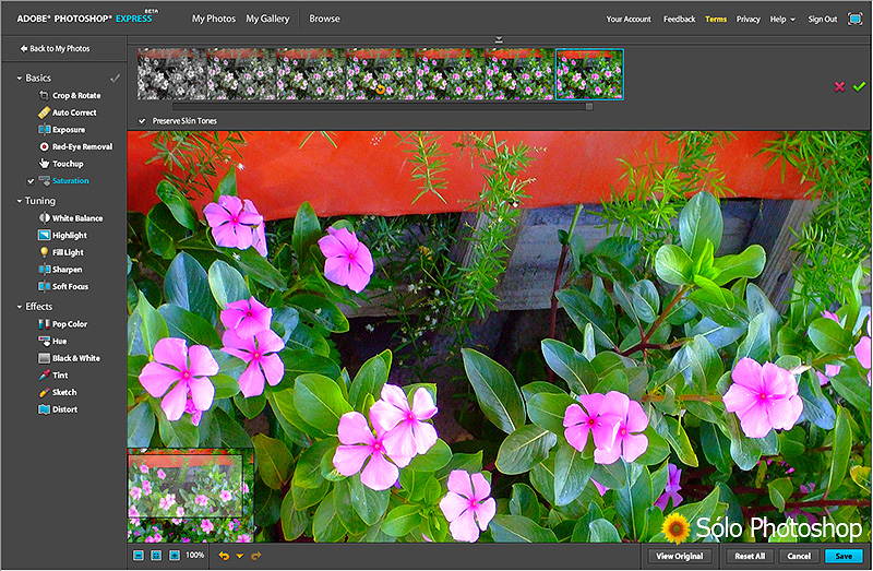 Photoshop Express: Opciones de Edición: Saturación