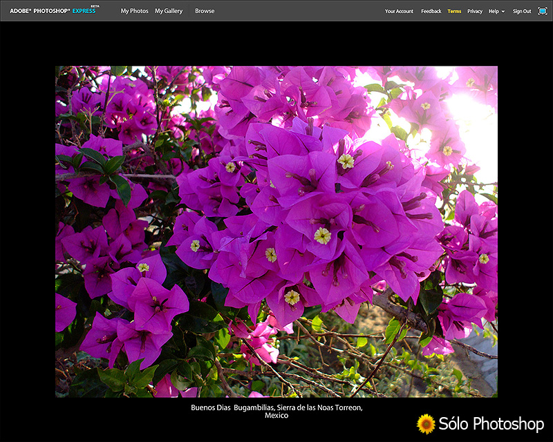 Photoshop Express: Presentación Animada de Imágenes con Descripción en Pantalla Completa.