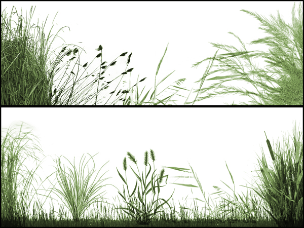 Free Photoshop Brushes