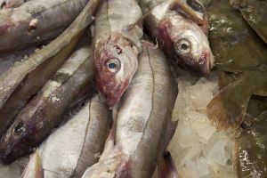 Como escoger el pescado en el mercado