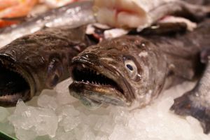 Cuanto tiempo pueden guardar alimentos congelados Cuanto tiempo pueden guardar alimentos congelados