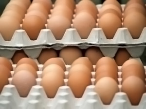 Cómo conservar los huevos