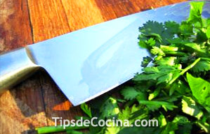 Mantener el Cilantro Fresco