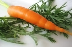 Mascarilla de zanahoria y aceite de rosas para cutis sensible