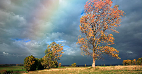Realistic Rainbow to a Photo in Photoshop