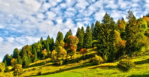 Photographic Processing HDR with Photoshop CS5 | Tutorial Valley