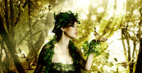 Making of Forest Magical Effect | Tutorial Valley