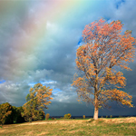 Realistic Rainbow to a Photo in Photoshop