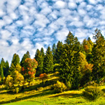 Photographic Processing HDR with Photoshop CS5