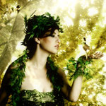 Making of Forest Magical Effect