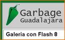 Tu Web Dinamica en Flash desde Cero