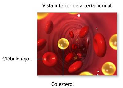 Jugo de Manzana, Apio, Pepino y Toronja para Bajar el Colesterol en Sangre