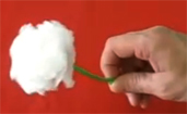 clavel Flor con papel higiénico