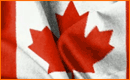 Flag With Effect From Waves In Photoshop