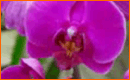 Remove Background In Photoshop CS3