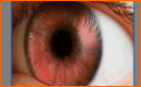 Change Eye Color With Photoshop