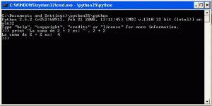 Ejecutar codigo Python