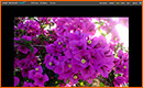 Photoshop Express el Photoshop en Línea