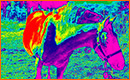 Imagen de Visión Térmica