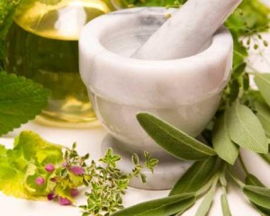 ¿Remedios Naturales o los Medicamentos?